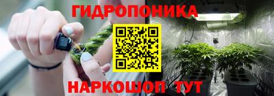 меф Кингисепп