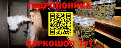 меф Кингисепп