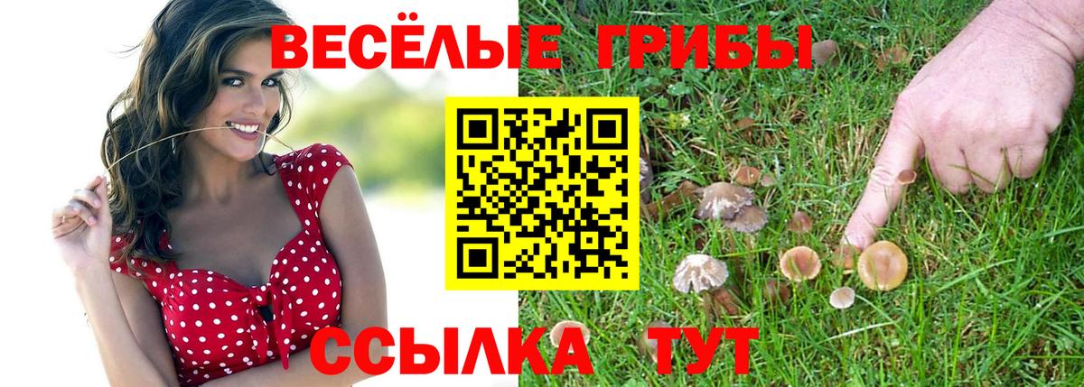 Псилоцибиновые грибы Magic Shrooms  Вход с VPN  Заводоуковск  Галлюциногенные грибы Cubensis 